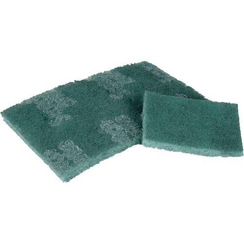 Scrubber Pad, 3" L x 4-1/2" W Equipment World