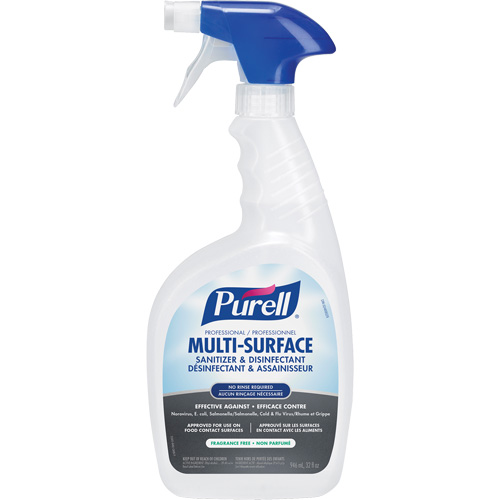 Professional Multi-Surface Sanitizer & Disinfectant, 946 ml, Trigger Bottle Equipment World