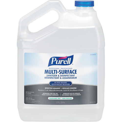 Professional Multi-Surface Sanitizer & Disinfectant, 3.78 L, Jug Equipment World