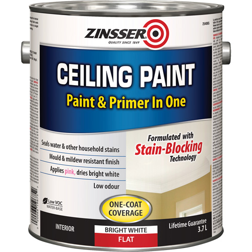 Ceiling Paint & Primer in One, White, Very Flat, 3.78 L, Gallon Equipment World