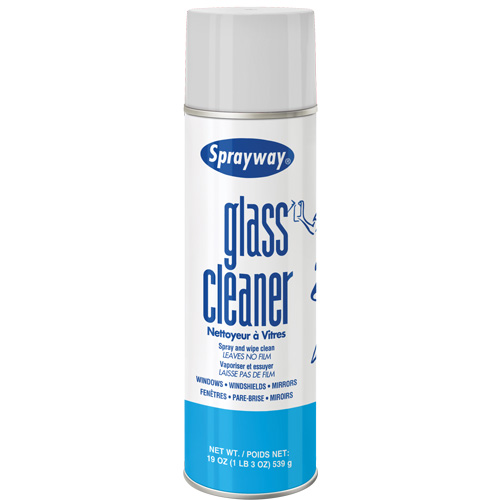 Glass Cleaner, 20 oz., Aerosol Can Equipment World