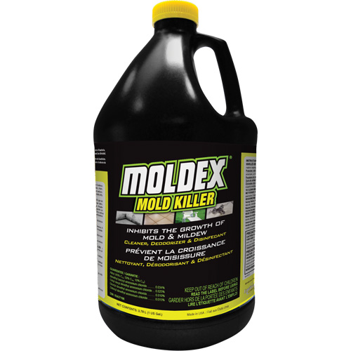 Moldex&reg; Mold Killer, 3.78 L, Jug Equipment World