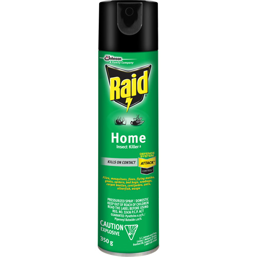Raid&reg; Home Insect Killer, 350 g, Solvent Base Equipment World