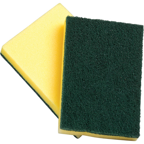 Sponges with Scouring Pad, Scrubbing, 4" W x 6" L Equipment World