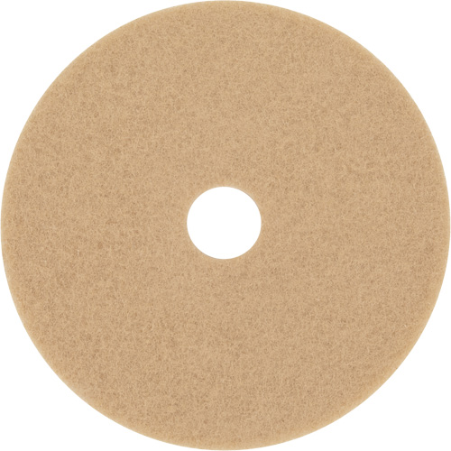 Bande abrasive Trizact Diamond TZ, 20", Brunissage, Beige Equipment World