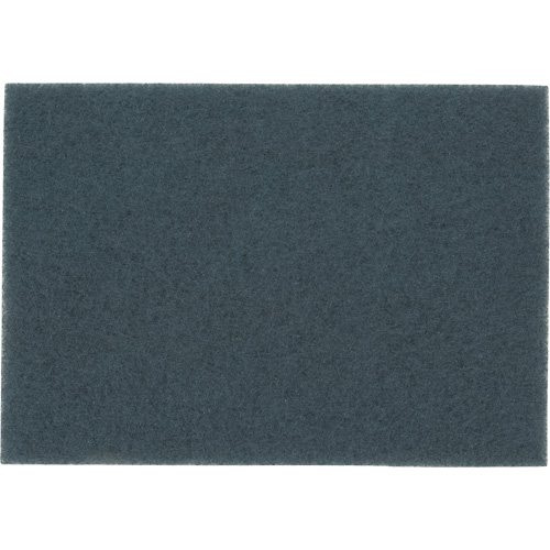 Tampon pour planchers, 14" x 20", Nettoyage/&agrave; r&eacute;curer, Bleu Equipment World