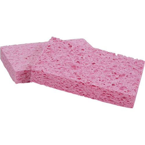 Scotch-Brite Sponge, Cellulose/Grouting/Scrubbing, 3-2/3" W x 6" L Equipment World