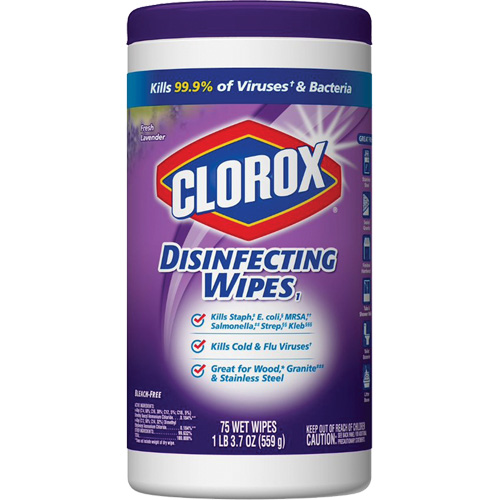 Disinfecting Wipes, 75 Count Equipment World