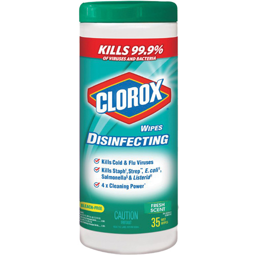 Disinfecting Wipes, 35 Count Equipment World