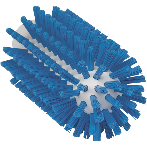2.5" Brush, Stiff Bristles, 5-3/5" Long, Blue Equipment World