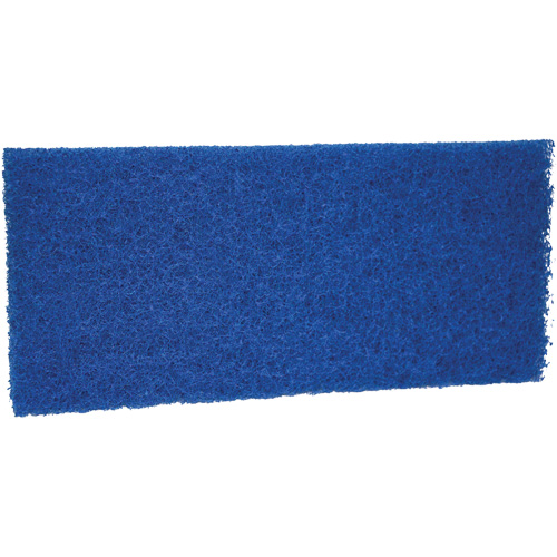 Medium Scrub Pad, 10" L x 4-1/2" W Equipment World