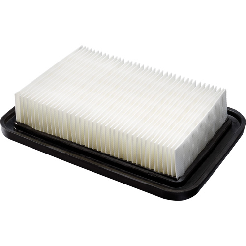 PTFE Membrane Main Filter, Foam, Fits 8 US gal. Equipment World