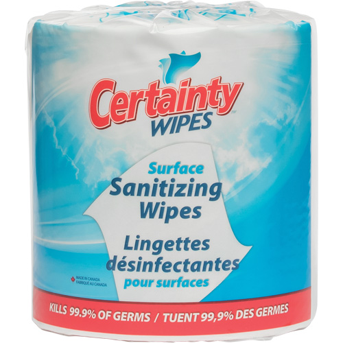 Surface Sanitizing Wipes, Packet Equipment World