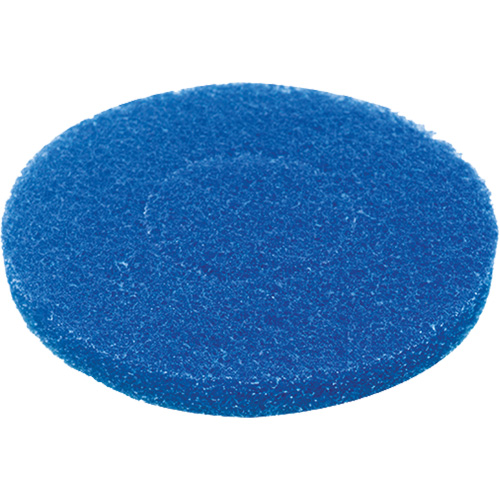 Floor Pad, Cleaning, Blue Equipment World