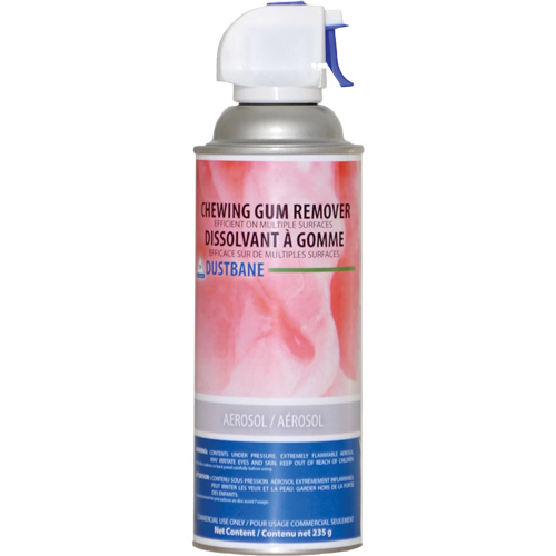 Chewing Gum Remover, 235 g, Aerosol Can Equipment World