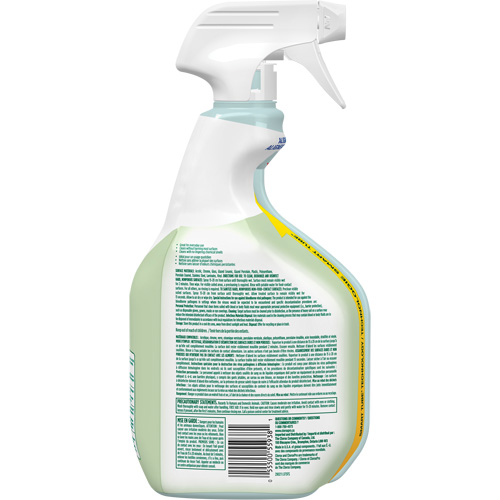 CloroxPro Clorox EcoClean Disinfecting Cleaner, 946 ml, Trigger Bottle Equipment World