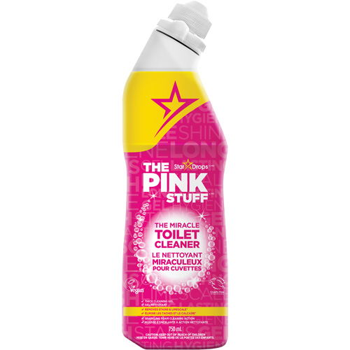 Toilet Cleaner Gel with Fruity Scent, 750 ml, Bottle Equipment World