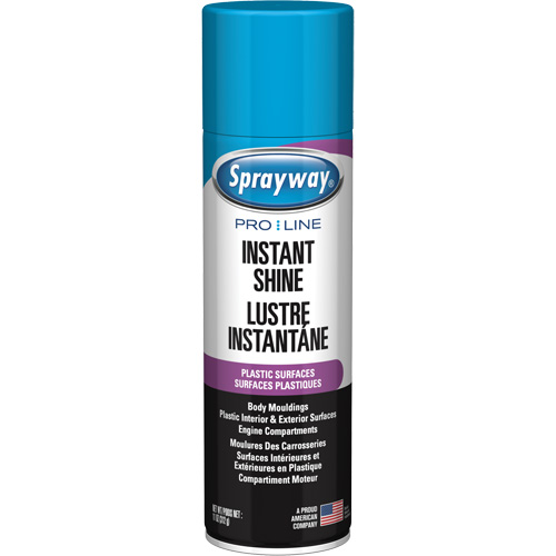 Pro Line Instant Shine for Plastic Surfaces, 11 oz., Aerosol Can Equipment World
