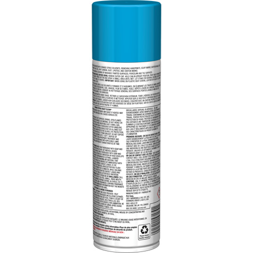 Pro Line Crazy Clean&reg; All Purpose Cleaner, 19 oz., Aerosol Can Equipment World