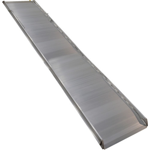 Rampe de promenade en aluminium, Capacit&eacute; de 1000 lb, 38" la x 193-1/8" lo Equipment World