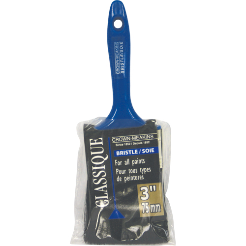 Pinceau classique, Soies, Manche Plastique, Largeur de 3" Equipment World