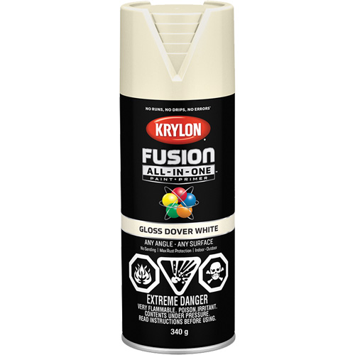 Fusion All-In-One Spray Paint, Dover White, Gloss, 12 oz., Aerosol Can Equipment World