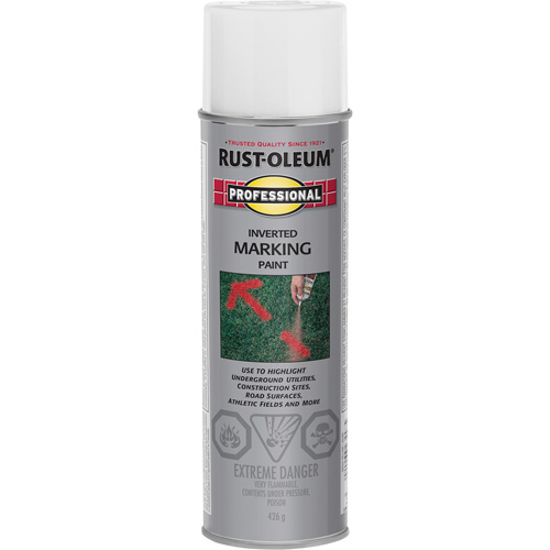 Inverted Marking Paint Spray, 426 g, Aerosol Can Equipment World