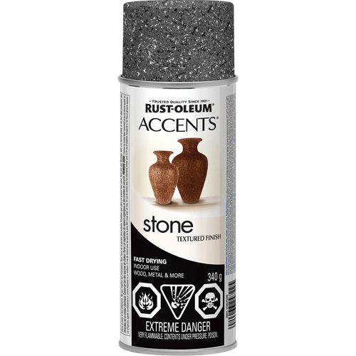 Accents&reg; Stone Creations Spray Paint, Aerosol Can, Grey Stone Equipment World