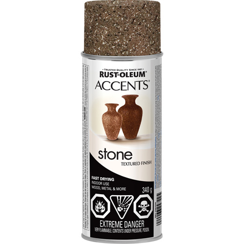 Accents&reg; Stone Creations Spray Paint, Aerosol Can, Sienna Stone Equipment World