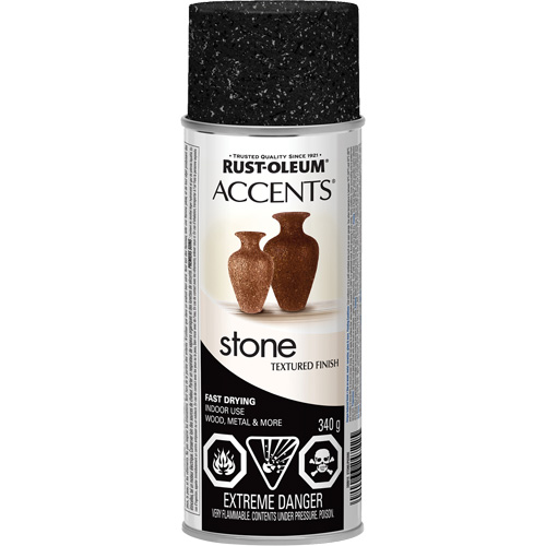 Accents&reg; Stone Creations Spray Paint, Aerosol Can, Black Granite Equipment World