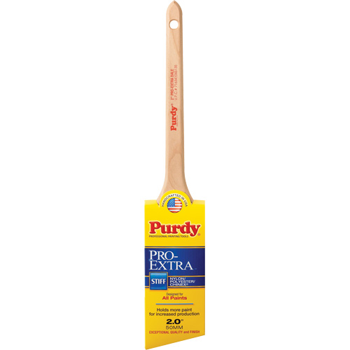 Pinceau Pro-Extra Dale, Mat&eacute;riau m&eacute;lang&eacute;, Manche Bois, Largeur de 2" Equipment World