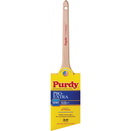 Pinceau Pro-Extra Dale, Mat&eacute;riau m&eacute;lang&eacute;, Manche Bois, Largeur de 3" Equipment World