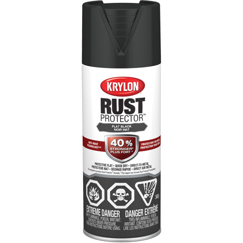 Peinture &agrave; &eacute;mail Rust Protector, Noir, Tr&egrave;s mat, 12 oz, Canette a&eacute;rosol Equipment World
