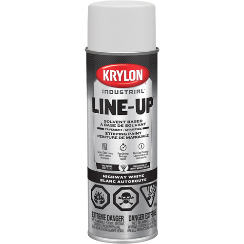 Professional Solvent-Based Marking Paint, White, 18 oz., Aerosol Can Equipment World