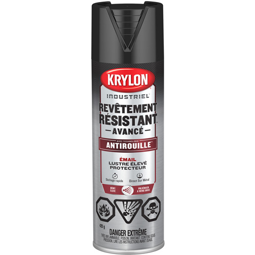 Tough Coat&reg; Advanced Paint with Rust Barrier Technology, Black, High-Gloss, 425 g, Aerosol Can Equipment World