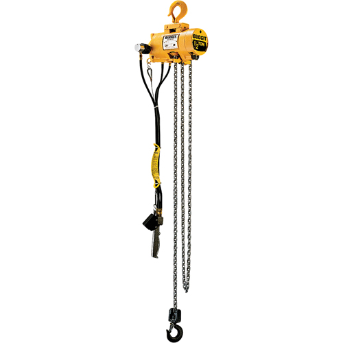 Budgit&reg; Air Chain Hoists Equipment World