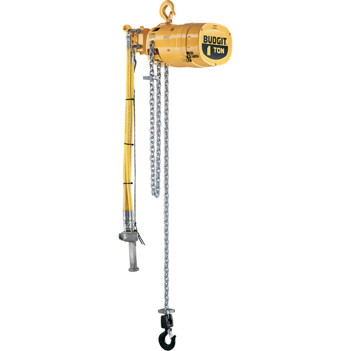Budgit&reg; Series 6000 Air Hoists Equipment World