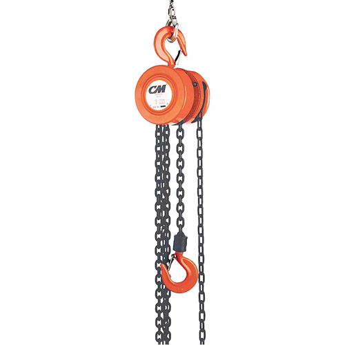 Chain Hoist, 20' Lift, 1000 lbs. (0.5 tons) Capacity, Steel Chain Equipment World
