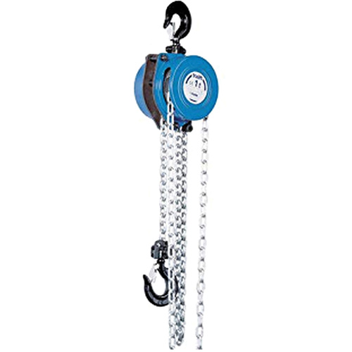 Tralift&reg; Manual Chain Hoist, 10' Lift, 4000 lbs. (2 tons) Capacity, Grade 80 Chain Equipment World