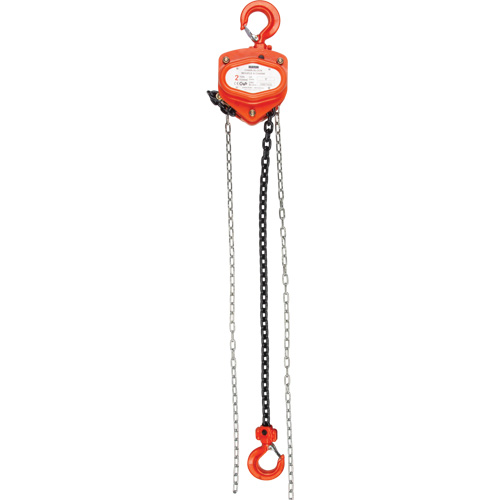 Chain Hoist, 10' Lift, 1000 lbs. (0.45 tons) Capacity, Alloy Steel Chain Equipment World