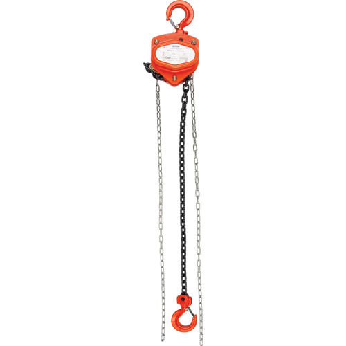 Chain Hoist, 20' Lift, 6000 lbs. (3 tons) Capacity, Alloy Steel Chain Equipment World
