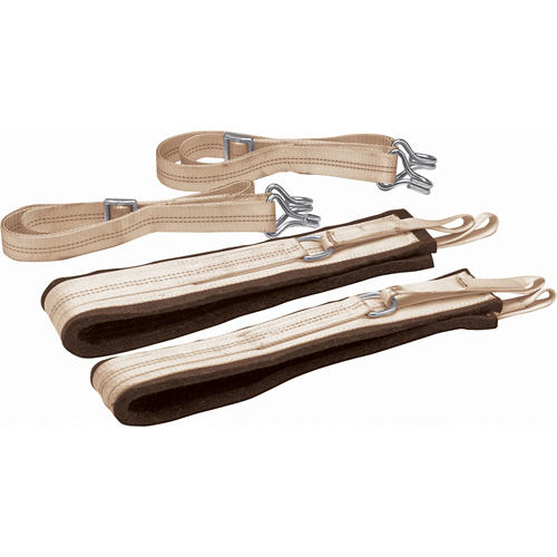 Moving Straps Equipment World