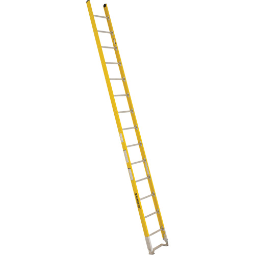 Single Section Straight Ladder - 6100 Series, 14', Fibreglass, 375 lbs., CSA Grade 1AA Equipment World