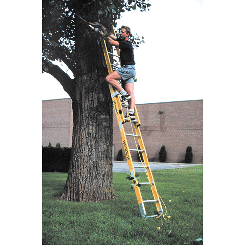 Industrial Heavy-Duty Extension Ladders (6200 Series), 375 lbs. Cap., 13' H, Grade 1AA Equipment World