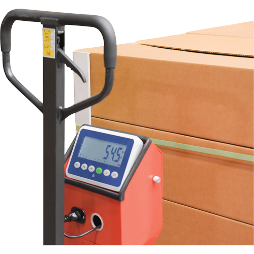 Transpalette, 48" lo x 27,5" la, Capacit&eacute; de 5000 lb Equipment World