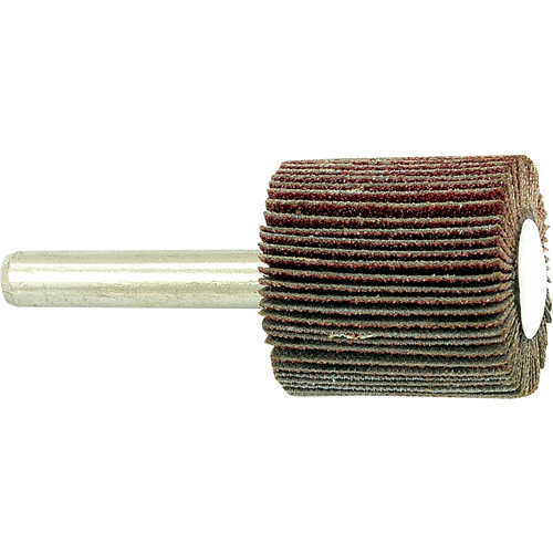 Disque &agrave; lamelles mont&eacute; sur mandrin, Grain 80, 1" x 1" x 1/4" Equipment World