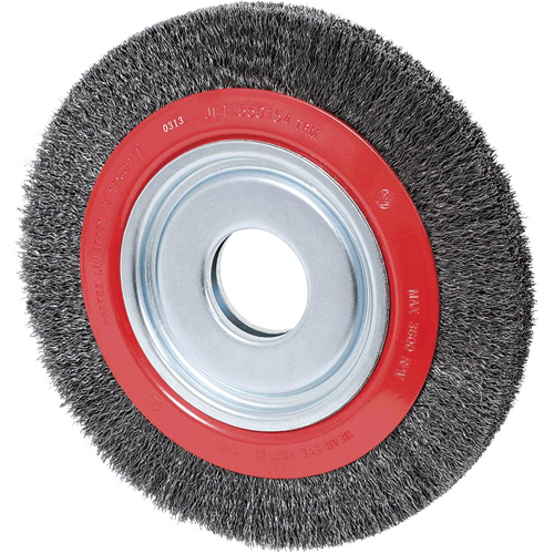 Crimped Wire Wheel, 10" Dia., 0.02" Fill, 2" Arbor Equipment World