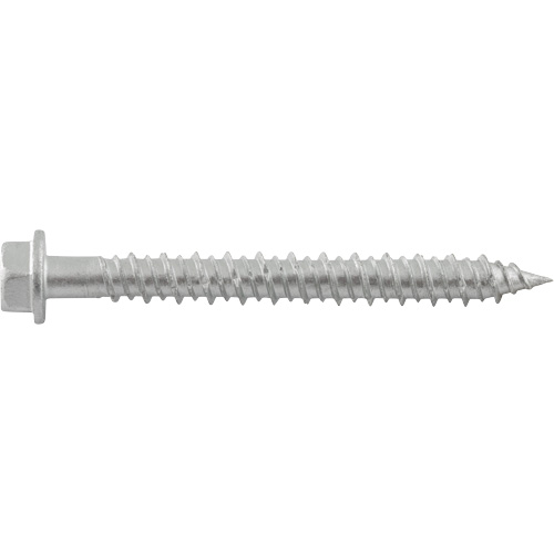 Vis de scellement Aggre-Gator, 1/4" x 1-1/4" lo, Acier inoxydable Equipment World