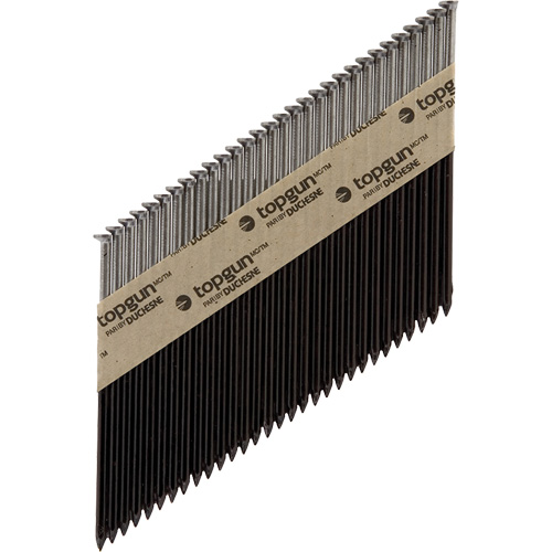 Collated Nails Equipment World