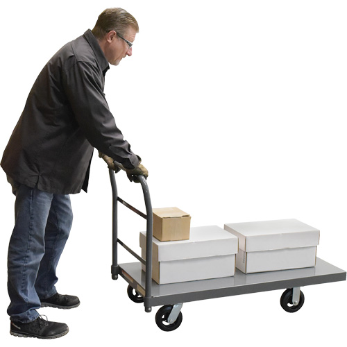 Platform Truck, 48" L x 24" W, 2000 lbs. Capacity, Rubber Casters Equipment World